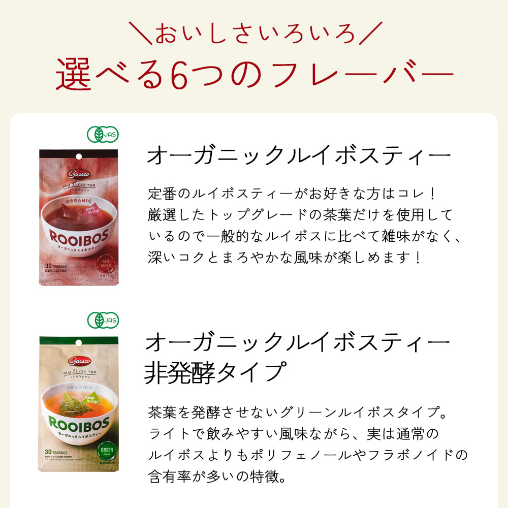 【EC限定6種のフレーバー】ガスコ オーガニックルイボスティー＆ハニーブッシュティー