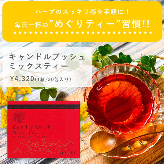 キャンドルブッシュミックスティー / リズムが整わずズーンと重い方に。一日一杯から始める"めぐりティー習慣"